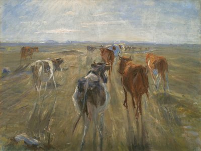 Lange Schatten. Rinder auf der Insel Saltholm, um 1890 von Theodor Esbern Philipsen